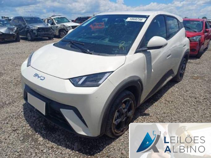 BYD DOLPHIN MINI 25/26